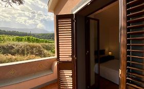 Tenuta Kiwi Dell'Etna